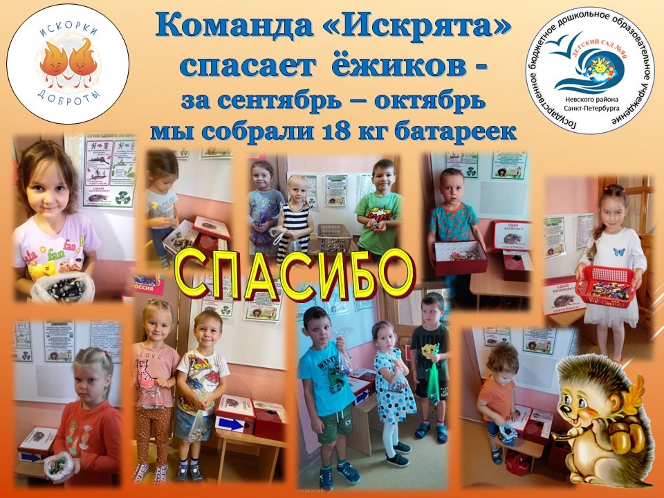 ежик