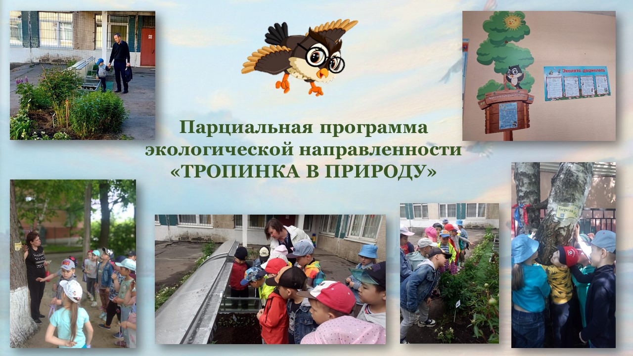 8. тропинка