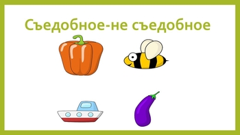  мышки1