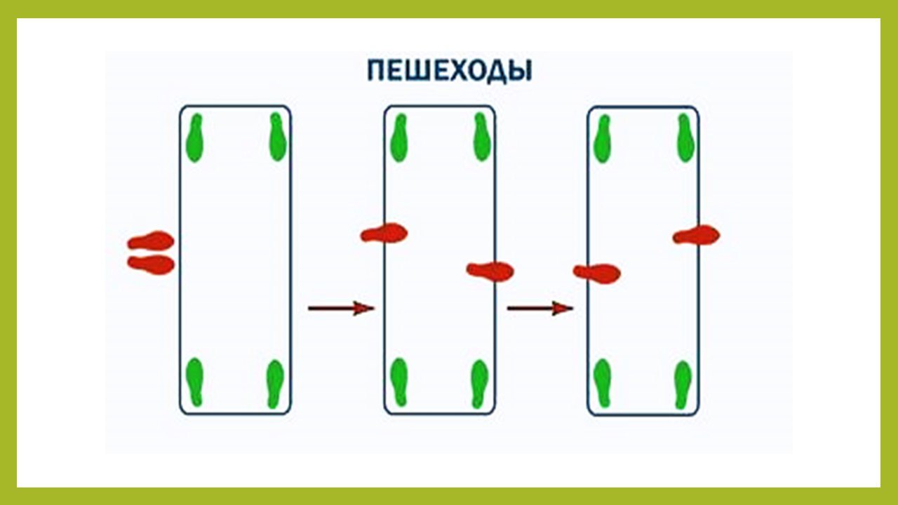  мышки1